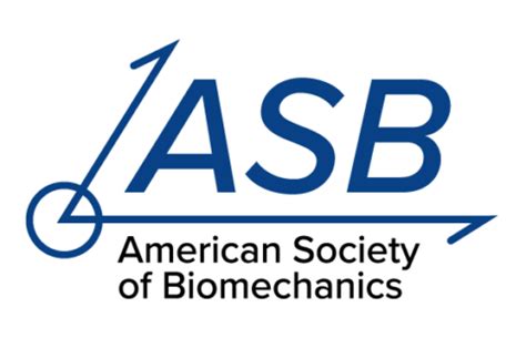 American society of biomechanics. Things To Know About American society of biomechanics. 
